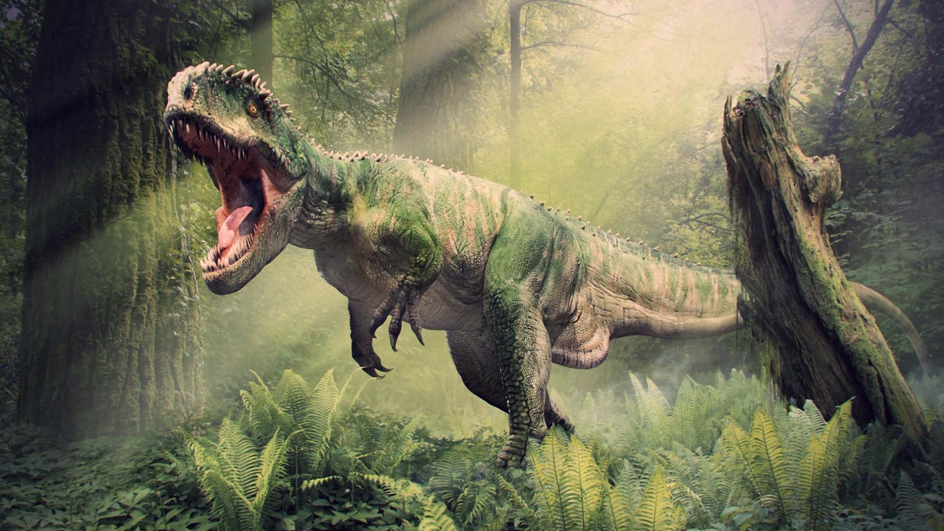 Dinosaurs T Rex Wallpaper