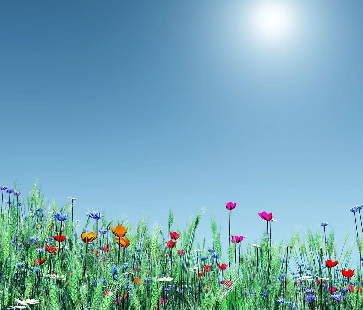 Flower Background For Android 9009 Full HD Wallpaper Desktop