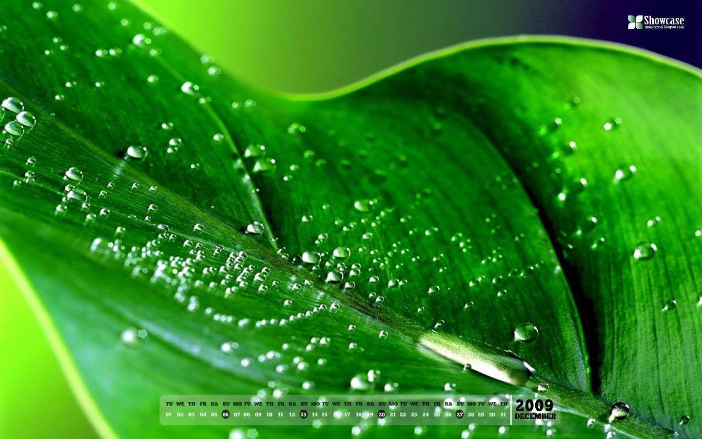 Green Desktop Wallpapers - Wallpaper Cave