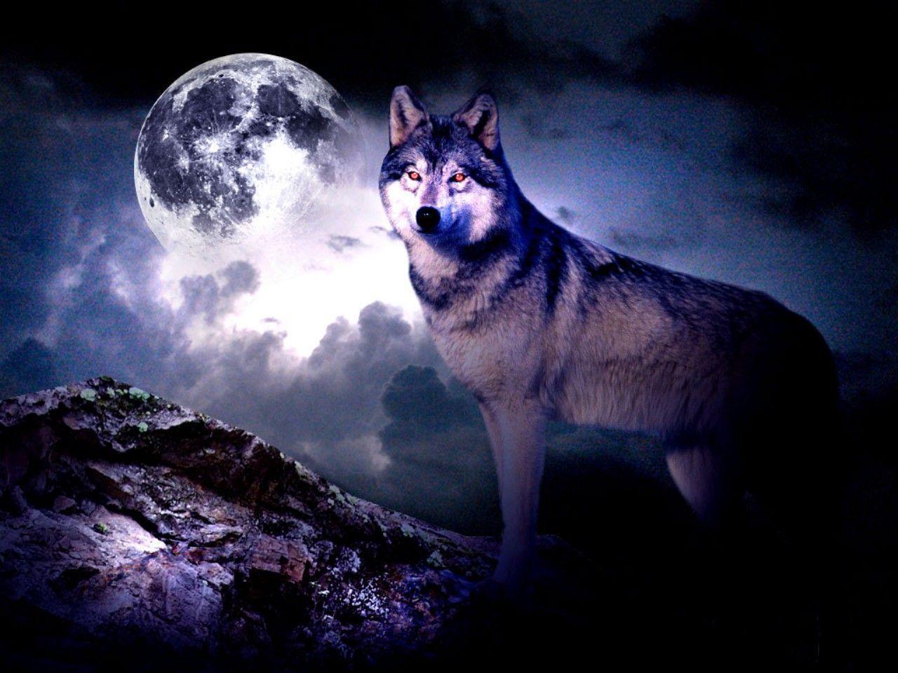Nice Night Sky Wolf Clouds Moon Mountains Wallpaper, HQ