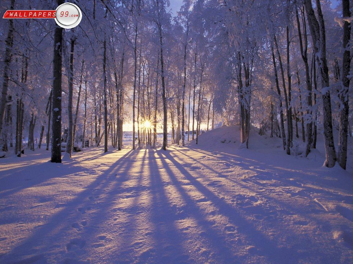 Winter Scenes Wallpaper Picture Image 1152x864 6032