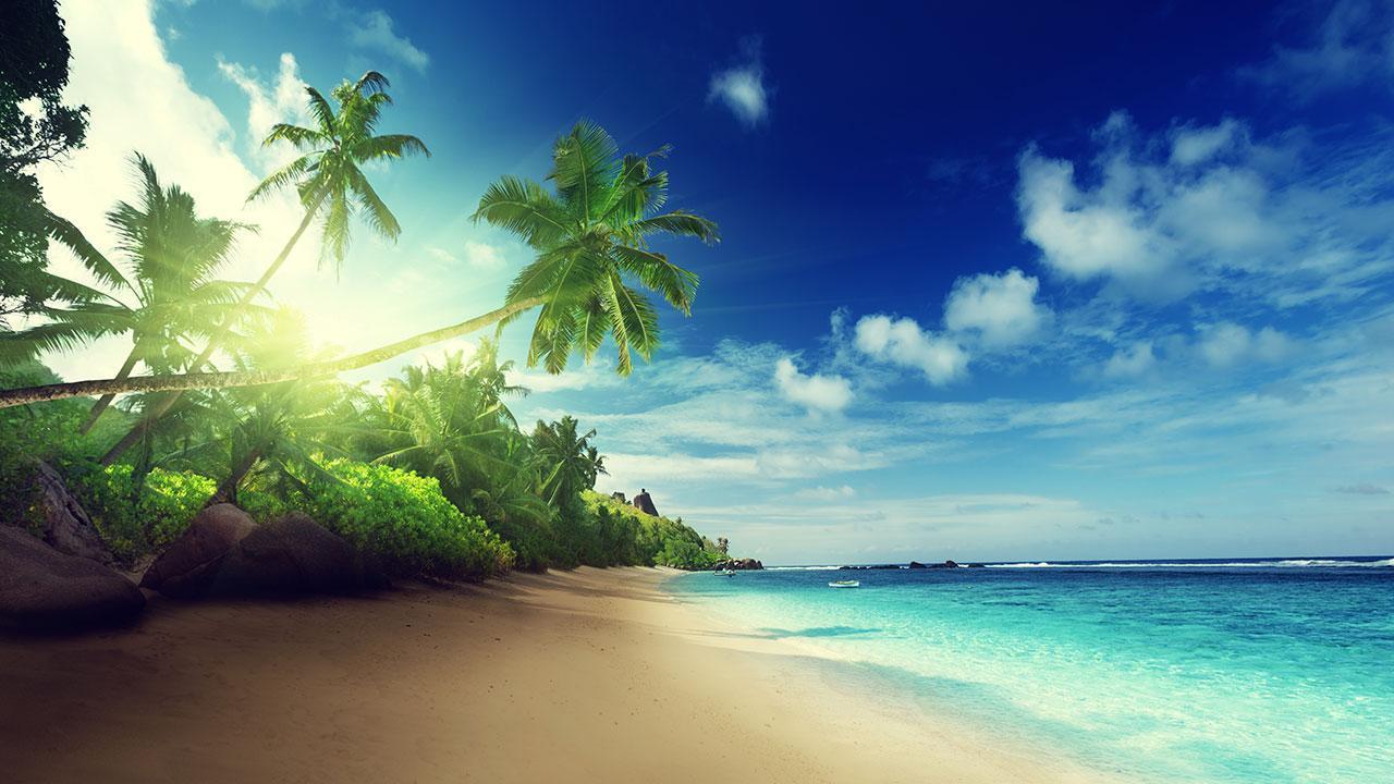 Beach Live Wallpaper Apps and Tests