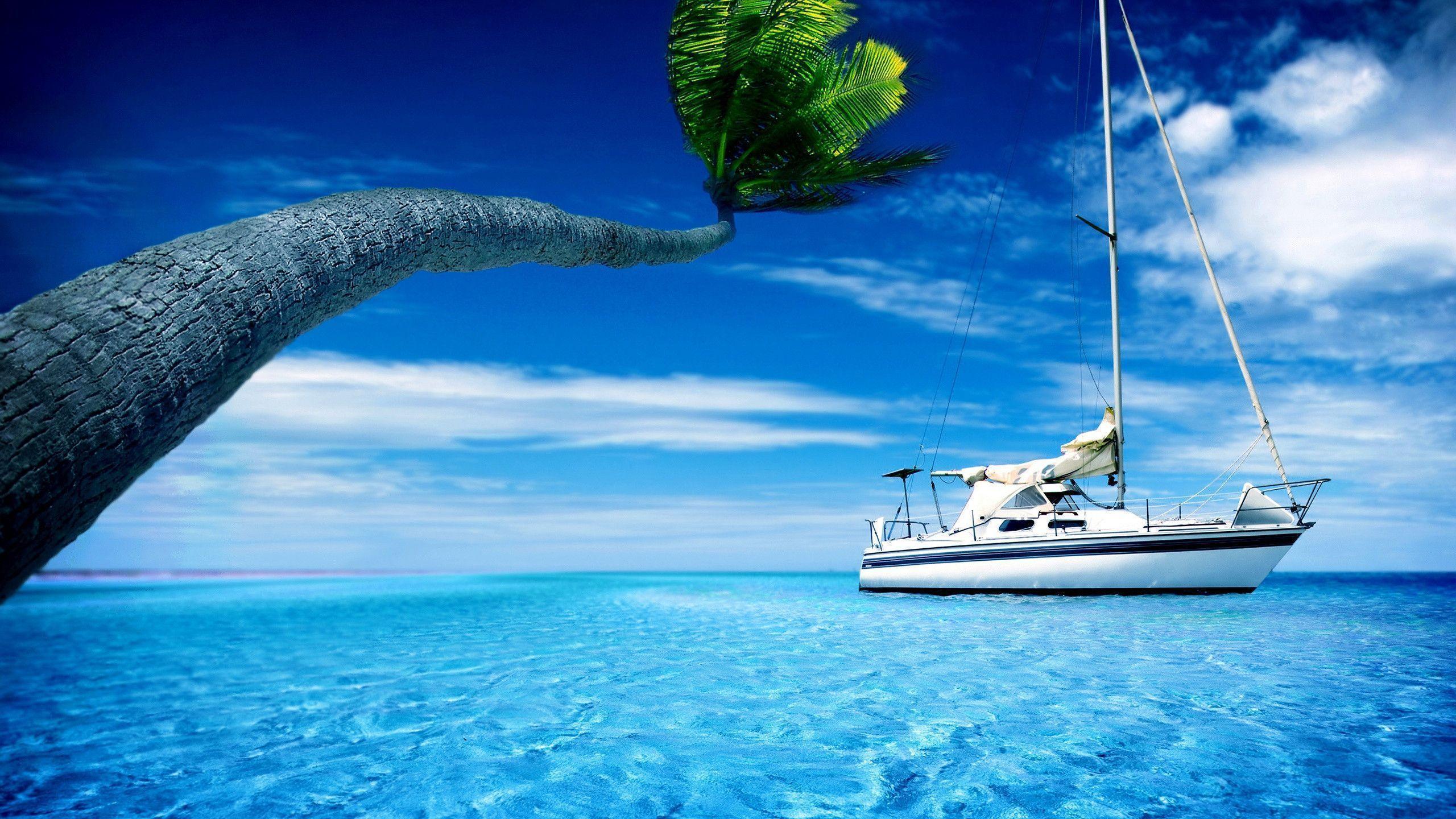 Boat, sea water, palm tree, hot summer sky Wallpaperx1440