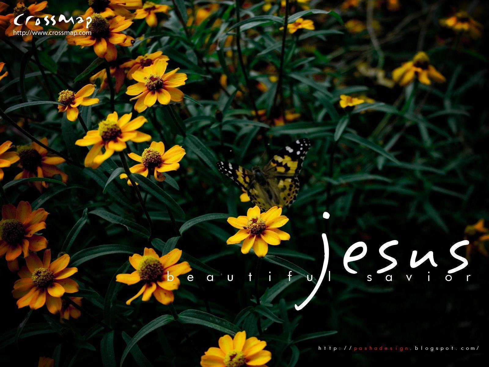 Jesus Beautiful Savior 4. Christian Photographs. Crossmap