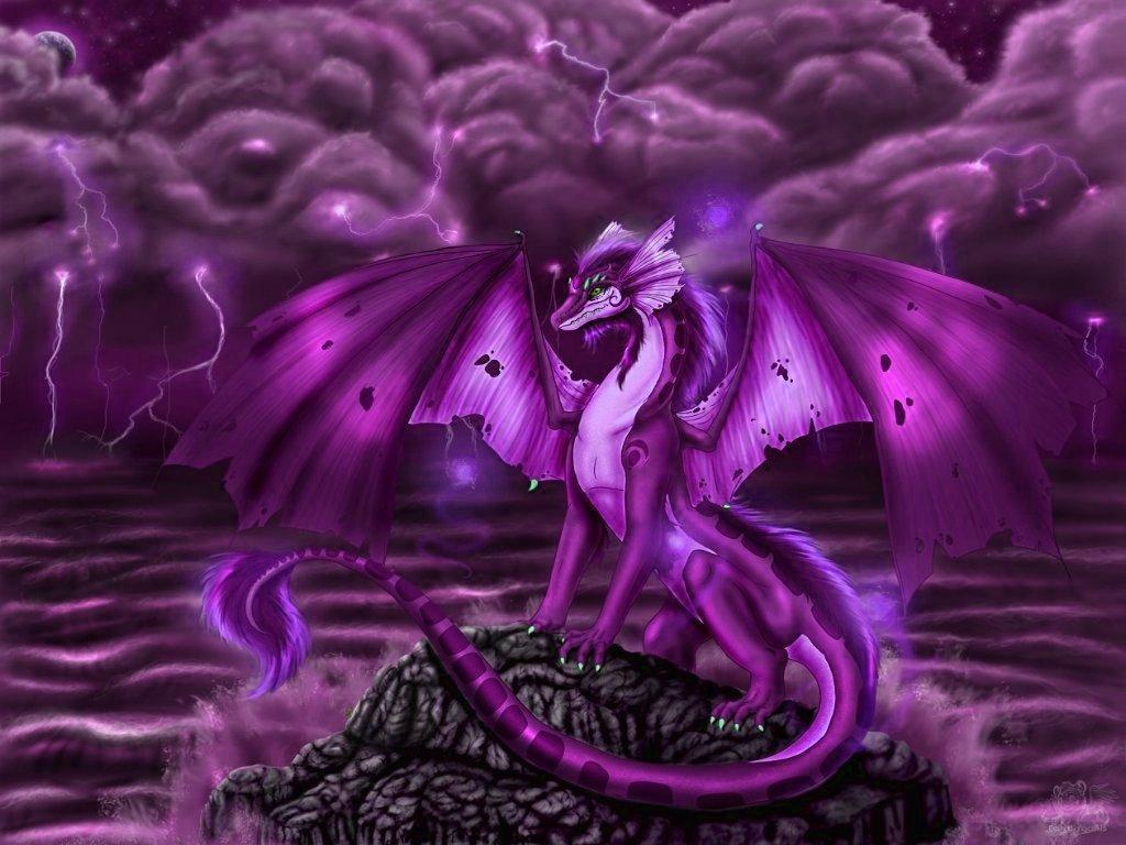 Black And Purple Dragons Wallpaper