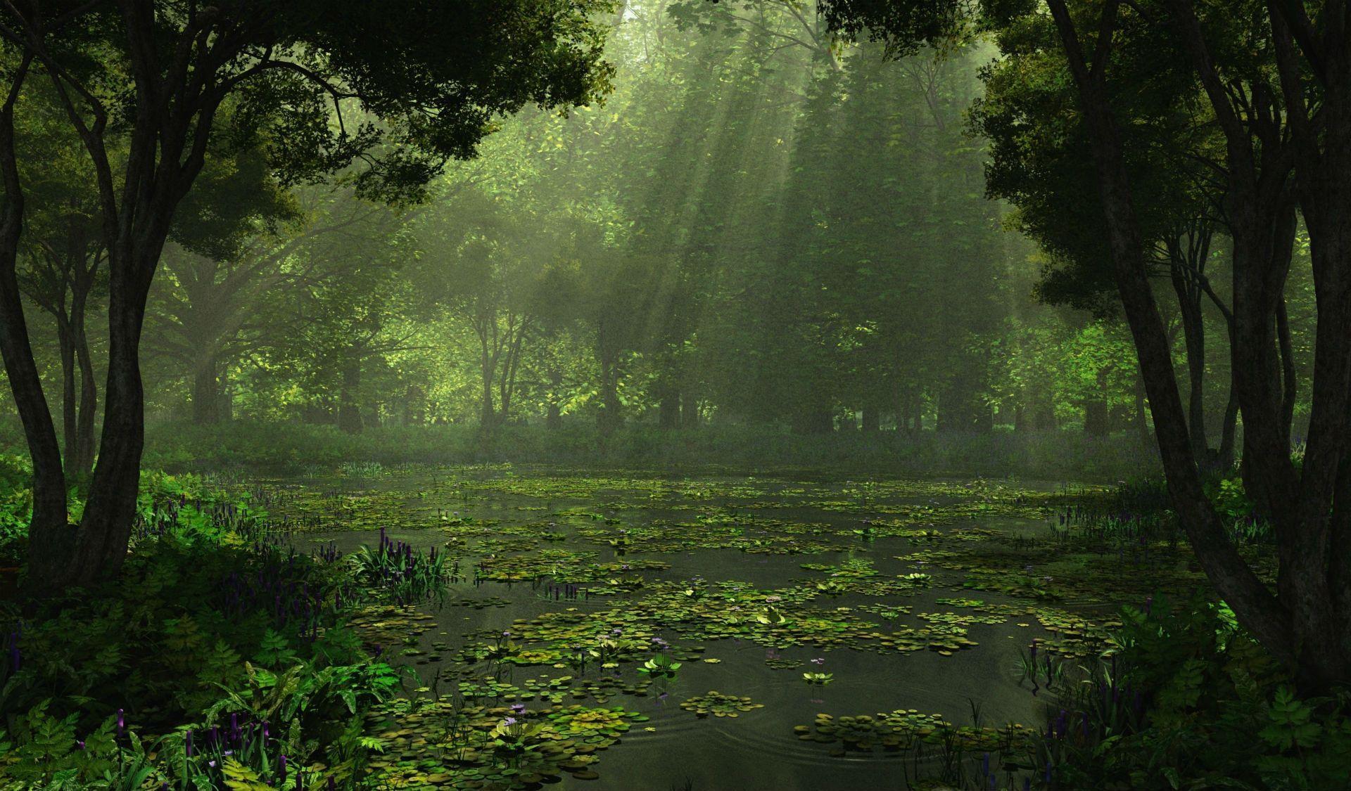 Pix For > Dark Swamp Background