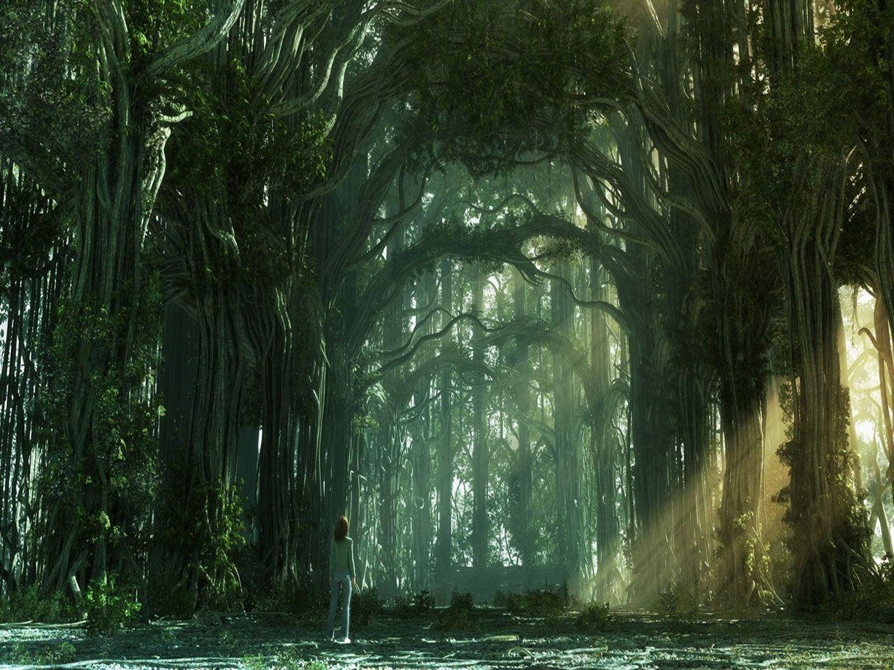 Fantasy forest full HD wallpaper and desktop background