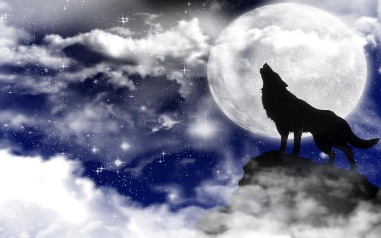 Pin Download Wolf Howling At The Full Moon Wallpaper