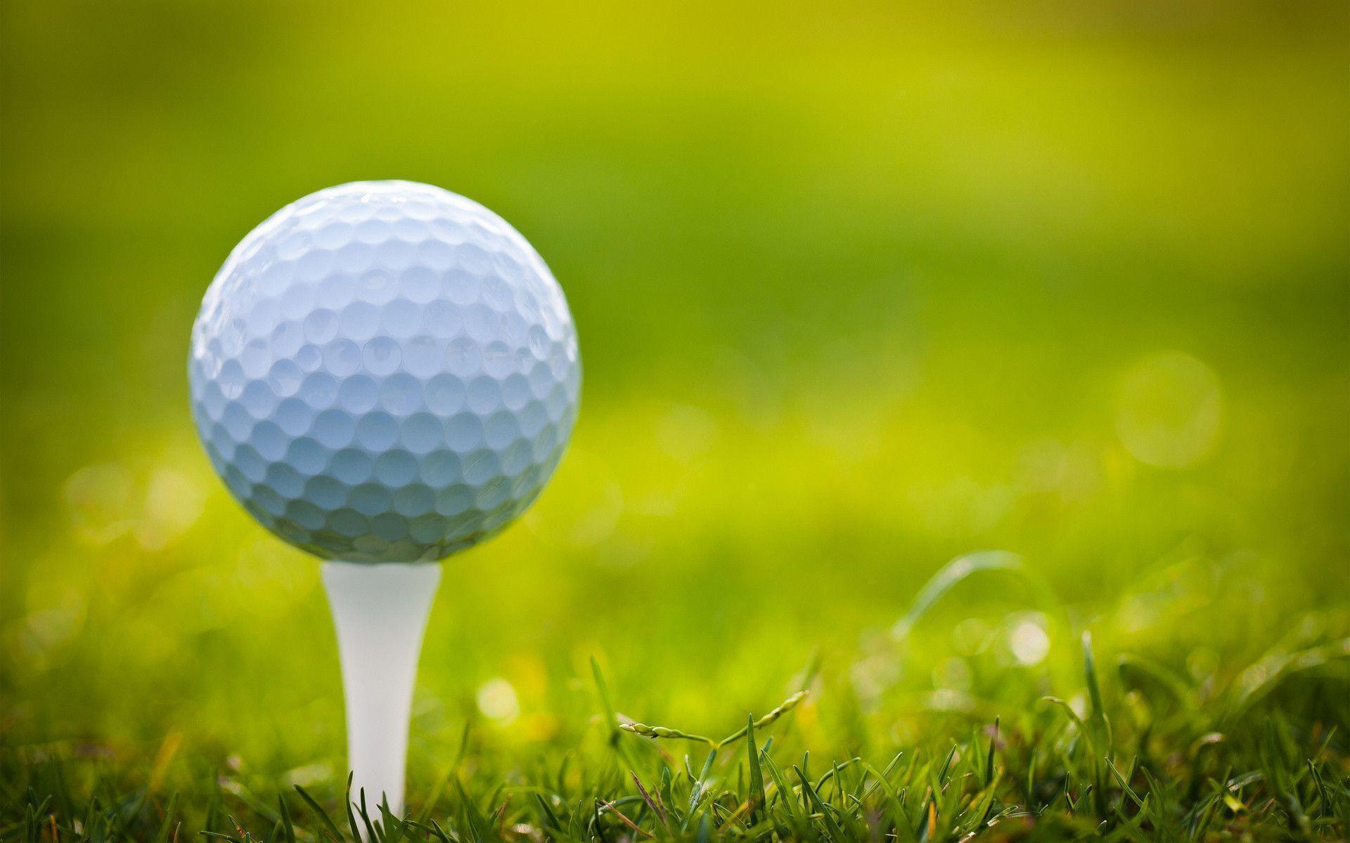 Golf Windows 8 Theme and Background. Download free windows 8 HD