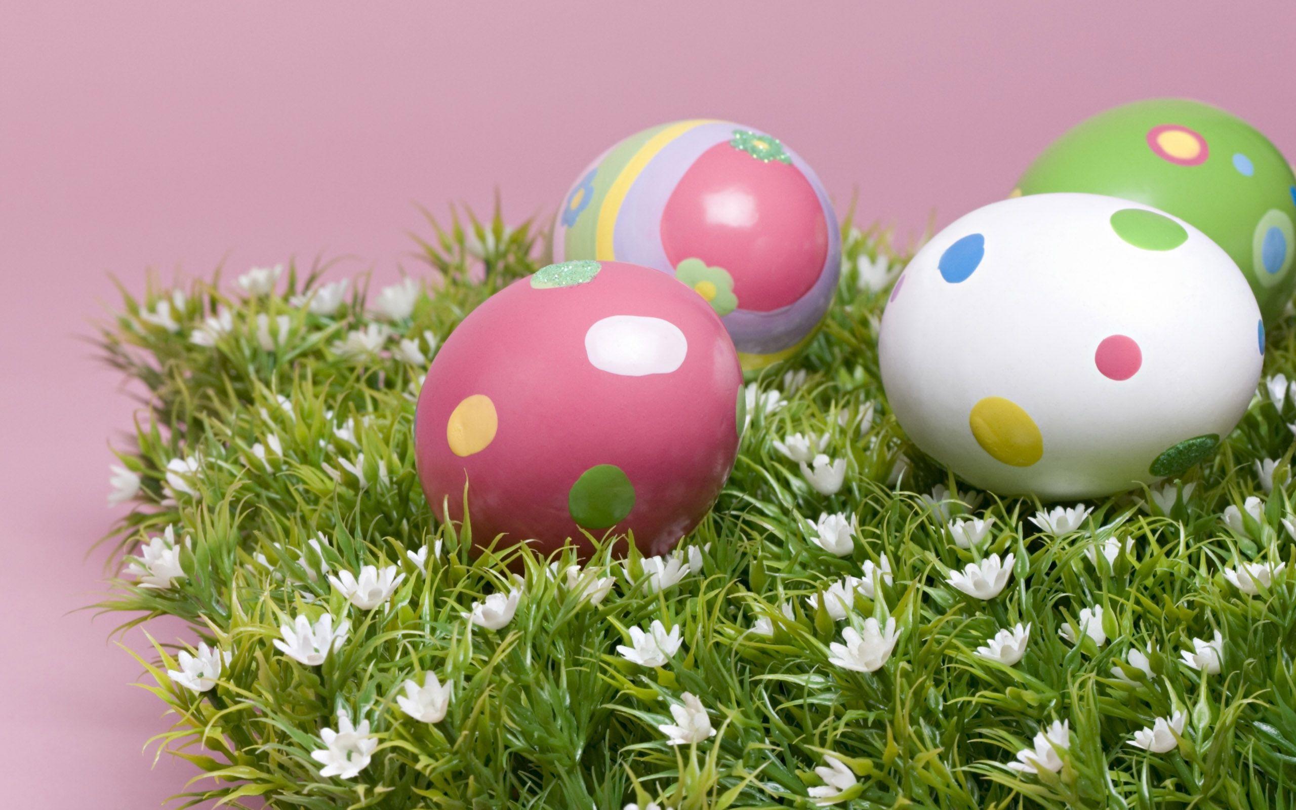 Free Cute Easter Eggs Picture HD wallpaper Wallpaper