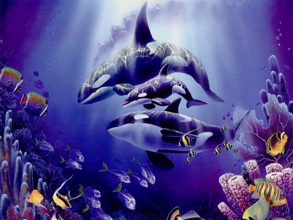 Beautifull Purple Orca Wallpaper High Resoluti Wallpaper