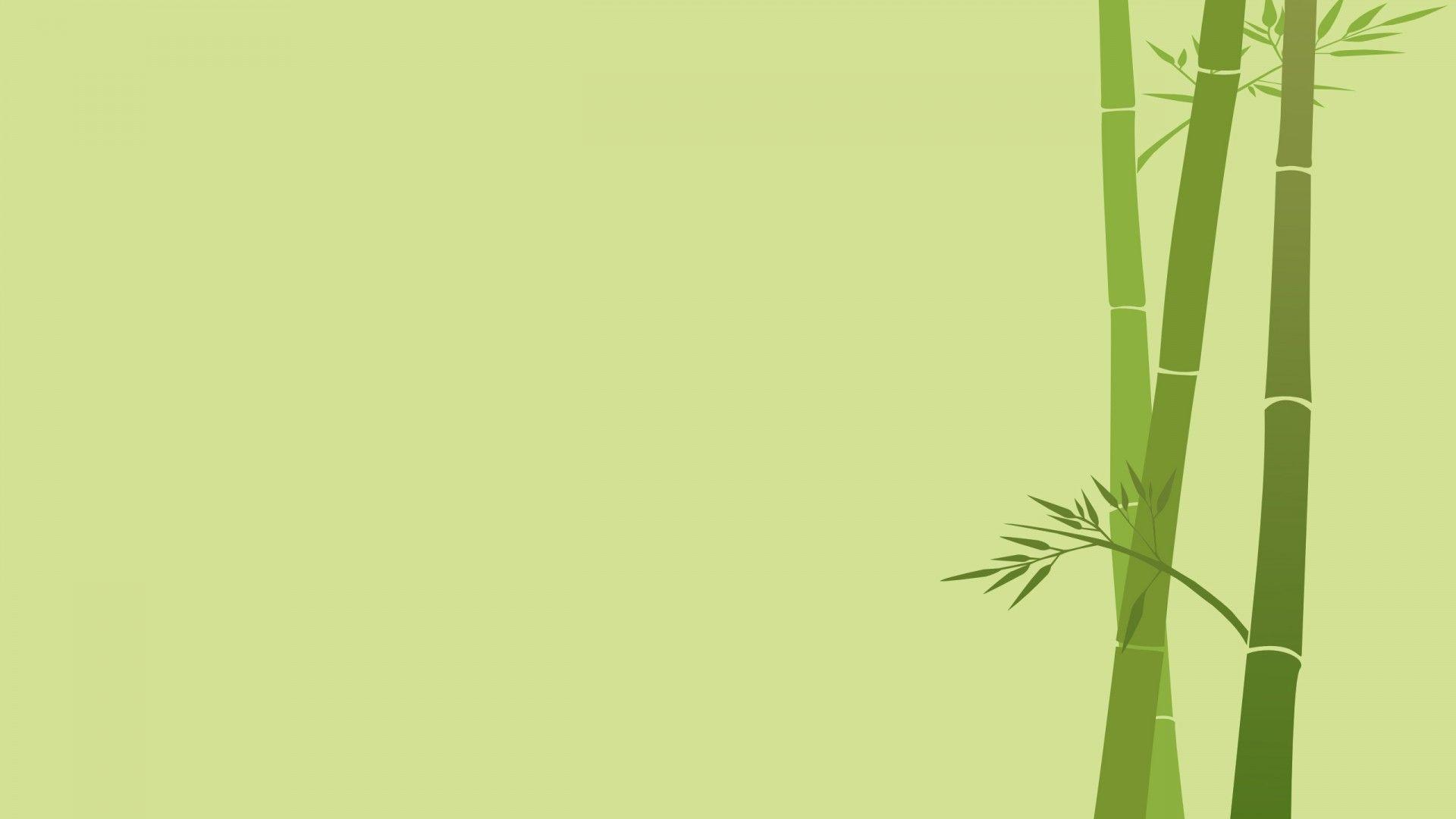 Bamboo Tree HD wallpaper