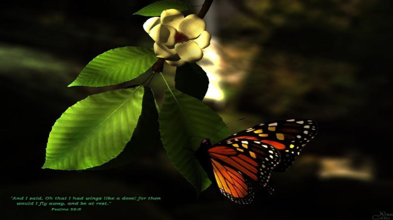 Wallpaper 3D Butterfly