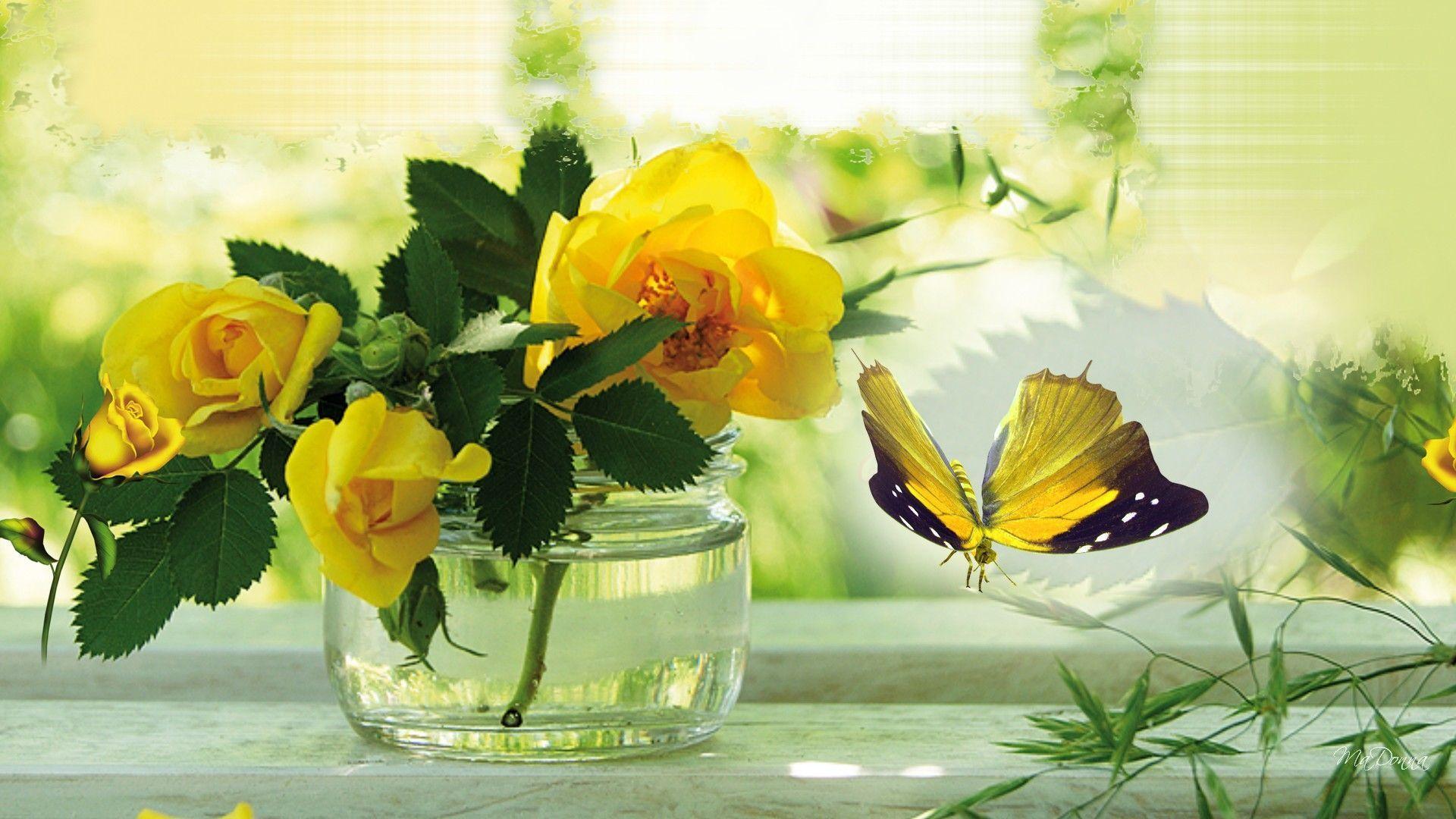 Flowers For > Yellow Rose Butterfly Wallpaper
