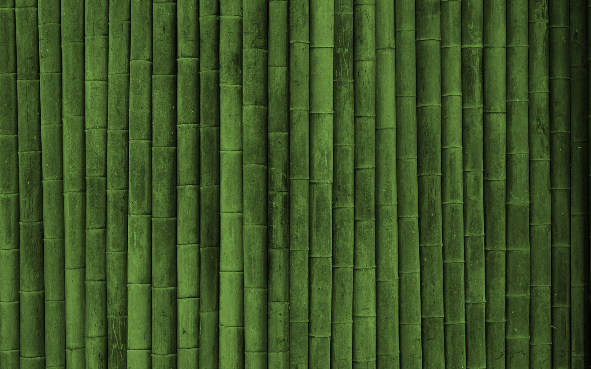 Green Bamboo HD Wallpaper. ForestHDWallpaper