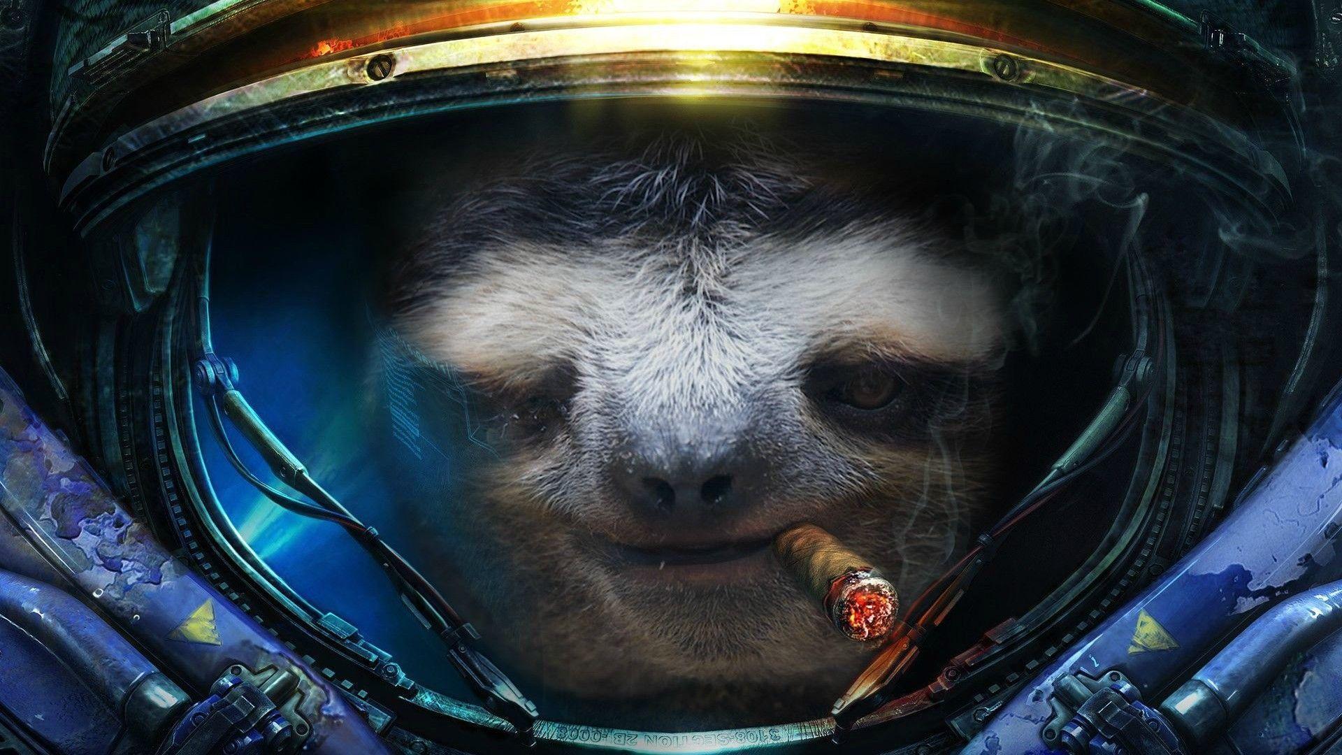 Pix For > Sloth Galaxy Wallpaper