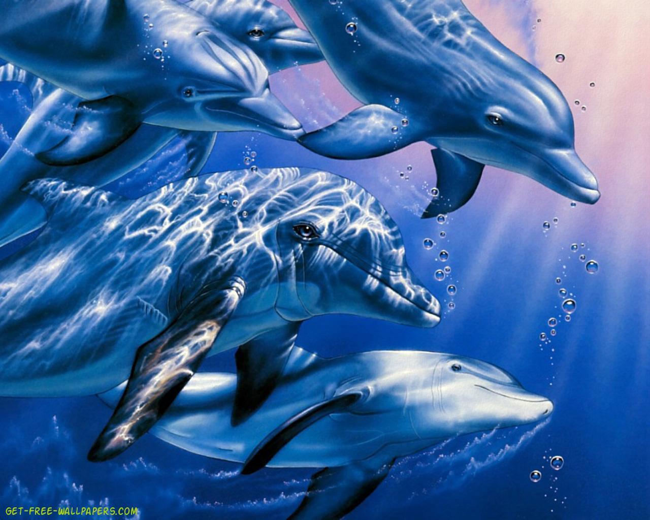 Dolphin Wallpapers - Wallpaper Cave