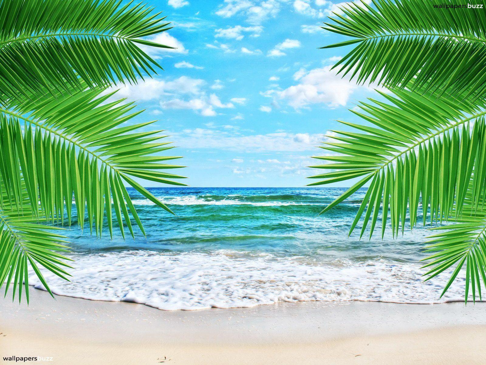Tropical Beach Waves Wallpaper HD Background 9 HD Wallpaper
