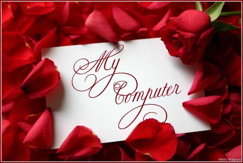 Gallery For > Beautiful Red Roses Wallpaper For Desktop