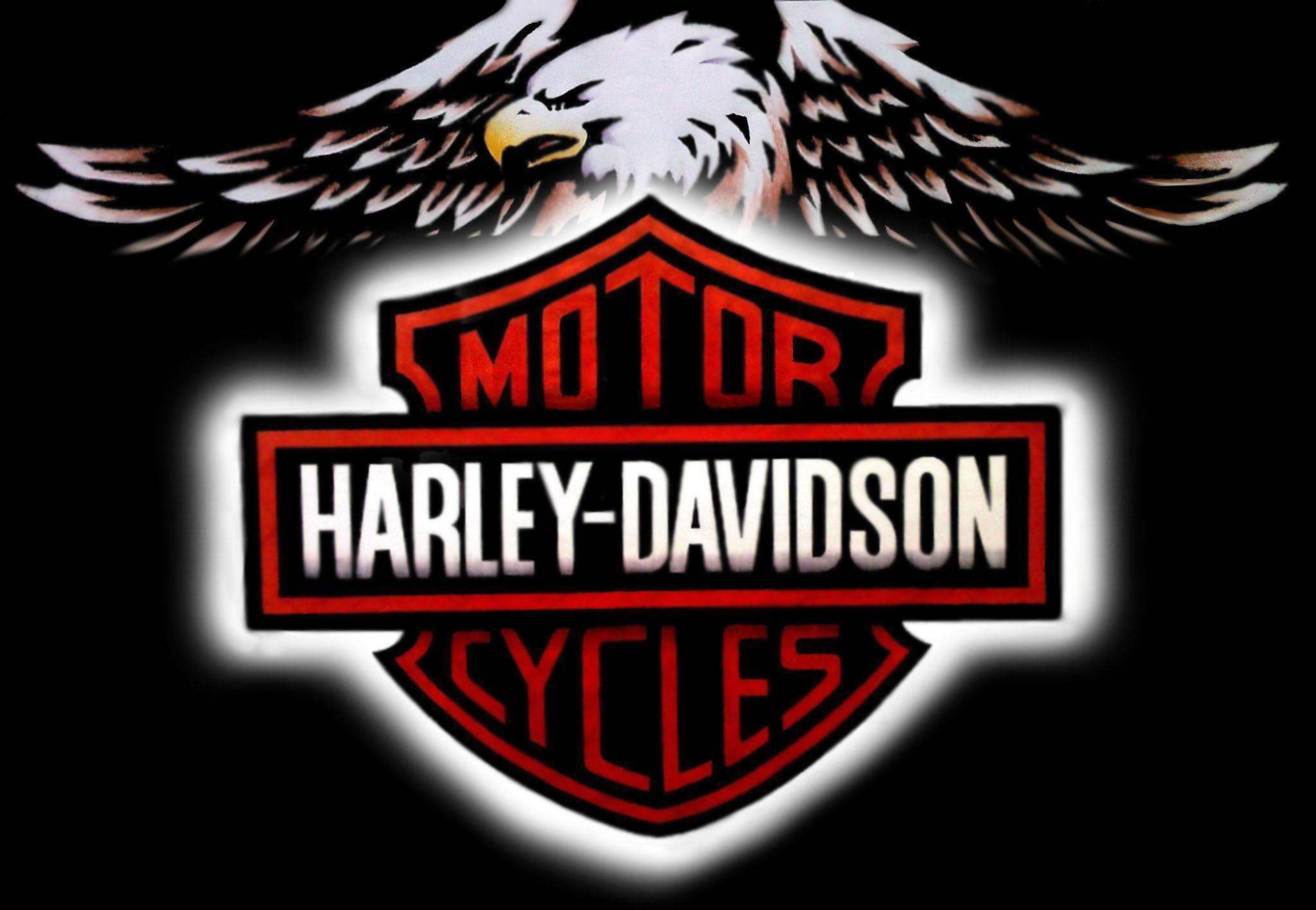 Wallpaper For > Harley Davidson Logo With Flames Wallpaper