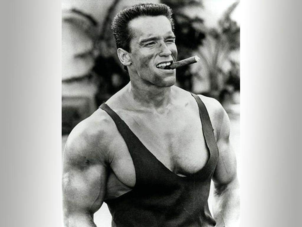 image For > Arnold Schwarzenegger Bodybuilding Wallpaper