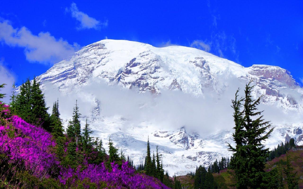 Travel Picture: Mount Rainier Picture