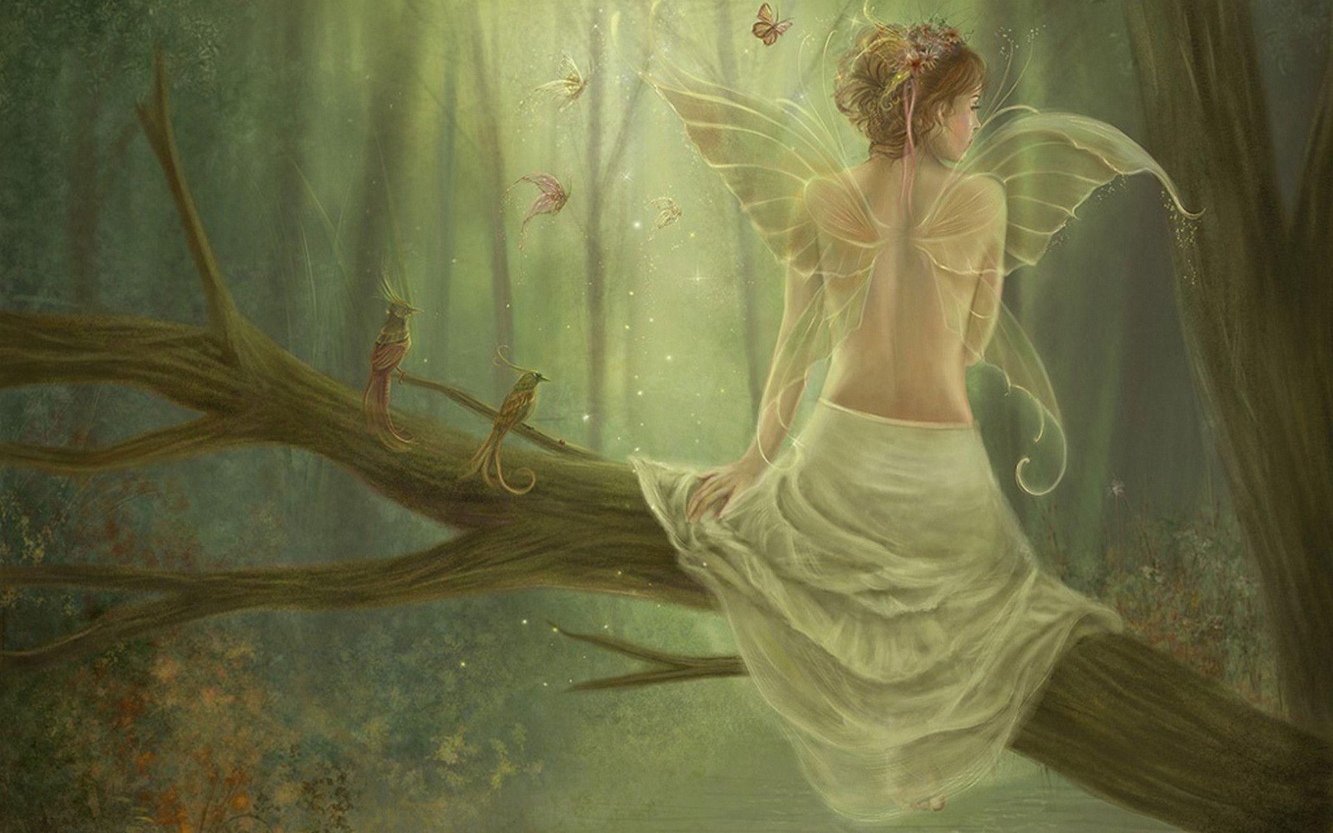 Fantasy Fairies Wallpapers Wallpaper Cave