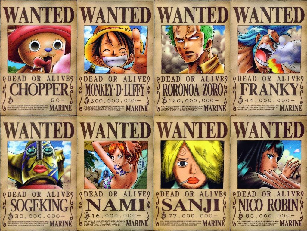 one piece wanted #