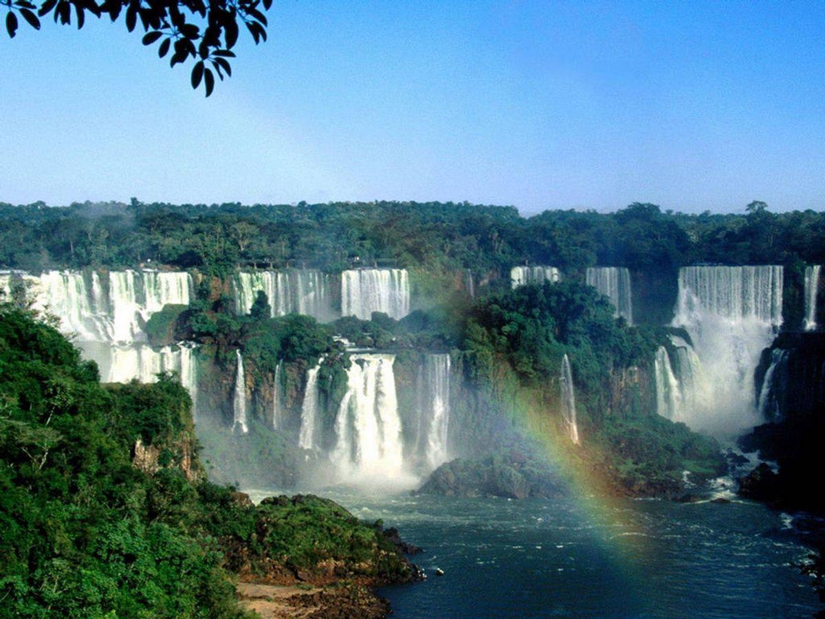 Amazon Rain Forest World Famous Places Wallpaper
