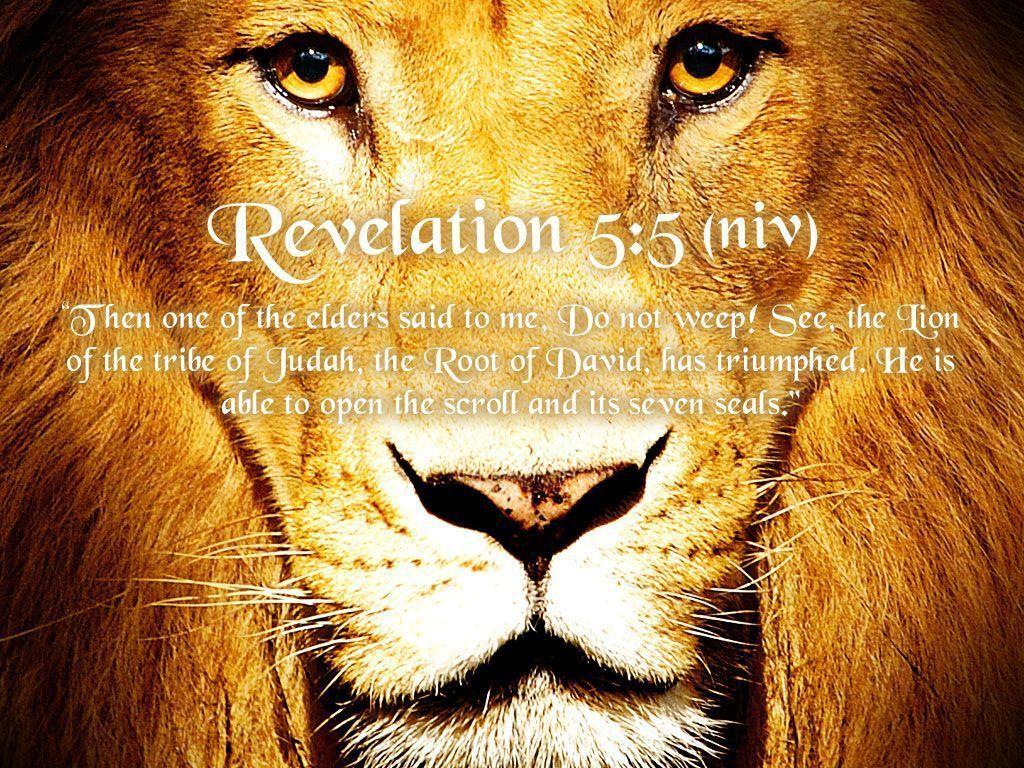 Revelation 5:5 Of The Tribe Of Judah Wallpaper