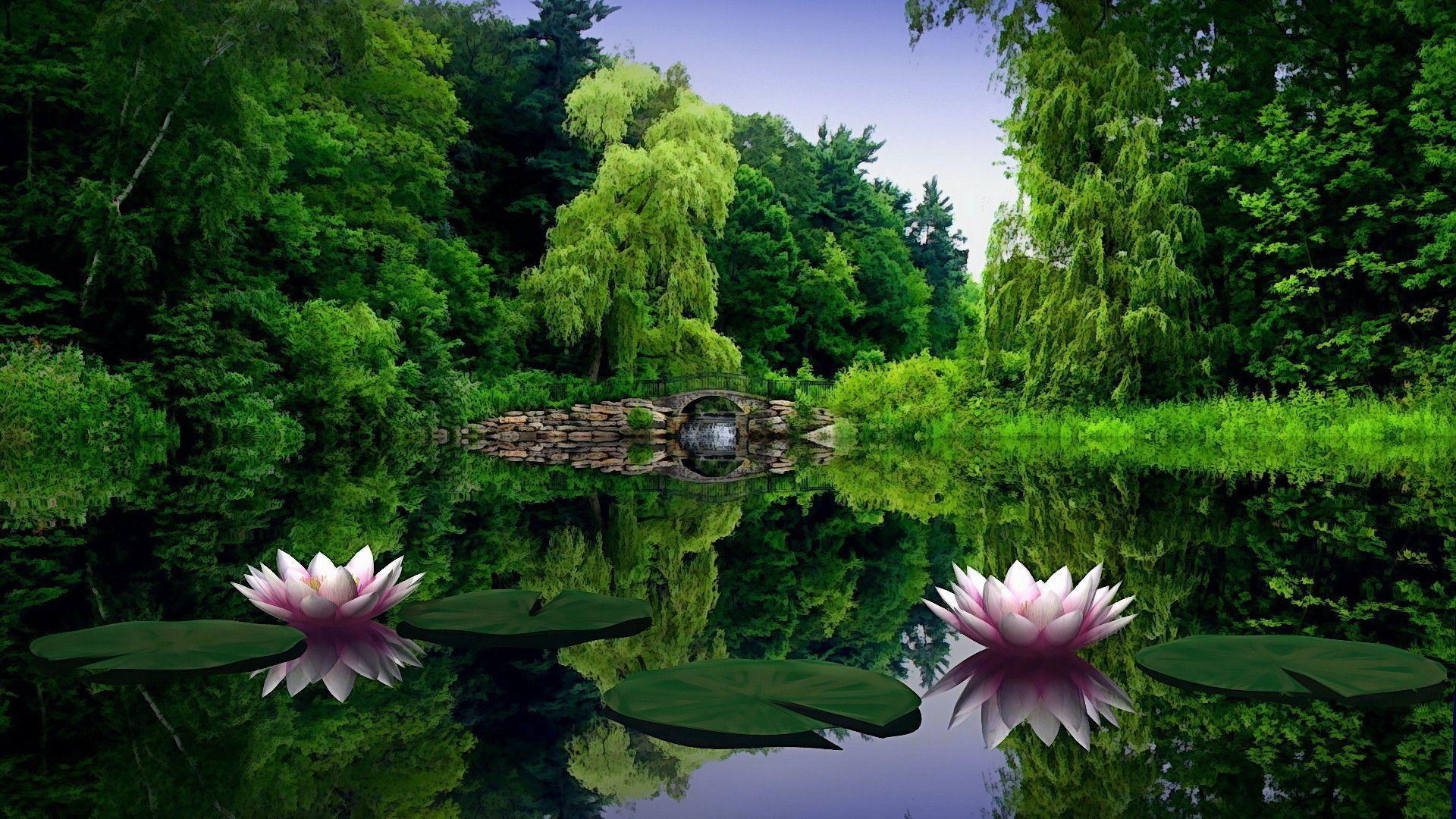 Nature & Landscape, Handsome Amazing Lotus Lake Desktop PC