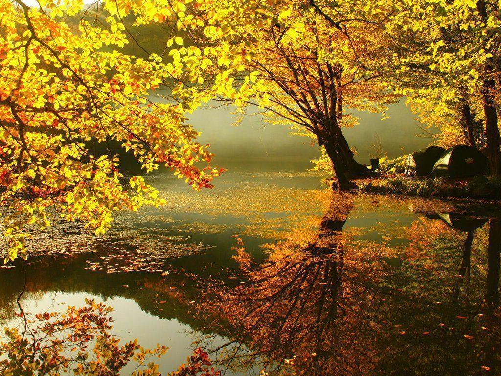Autumn. wallpaper, HD wallpaper, background desktop