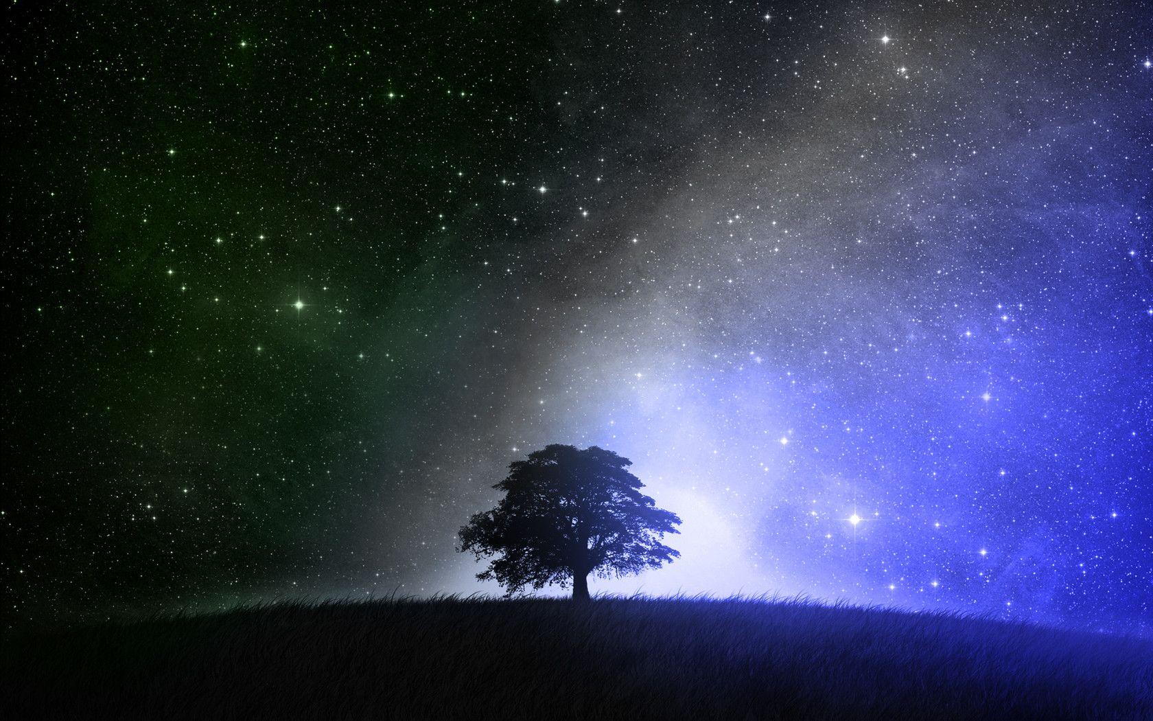 Tree and the Stars at Night time Wallpaper 35627326