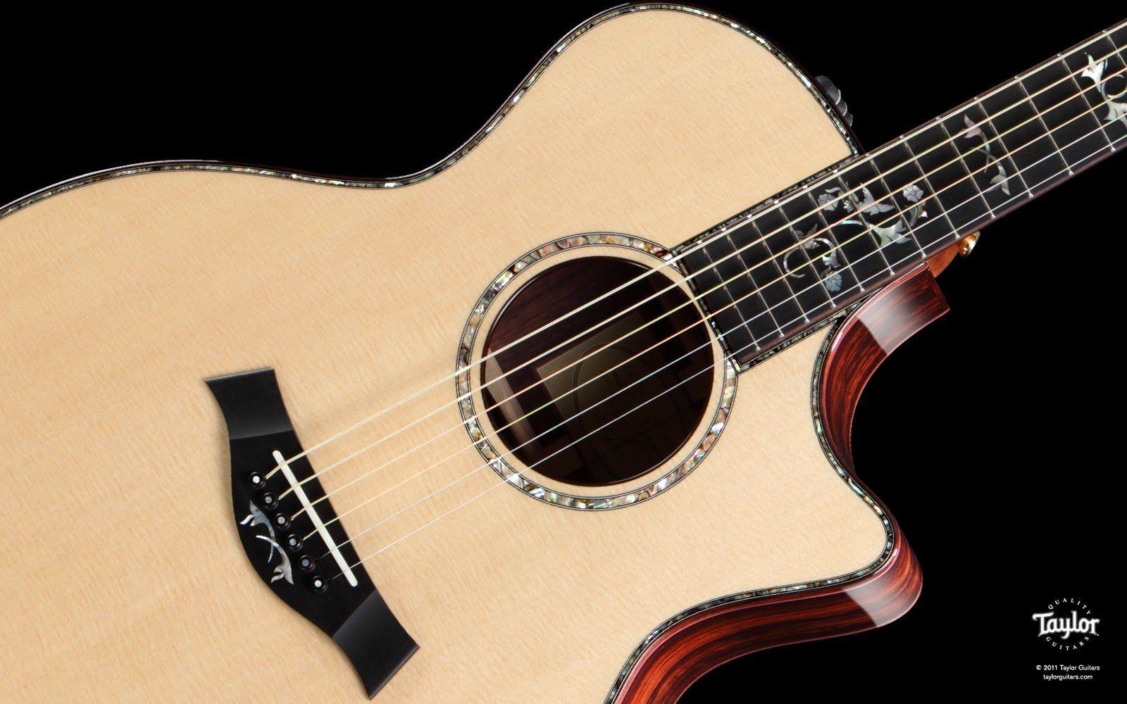 Taylor Guitars: Taylor Guitars