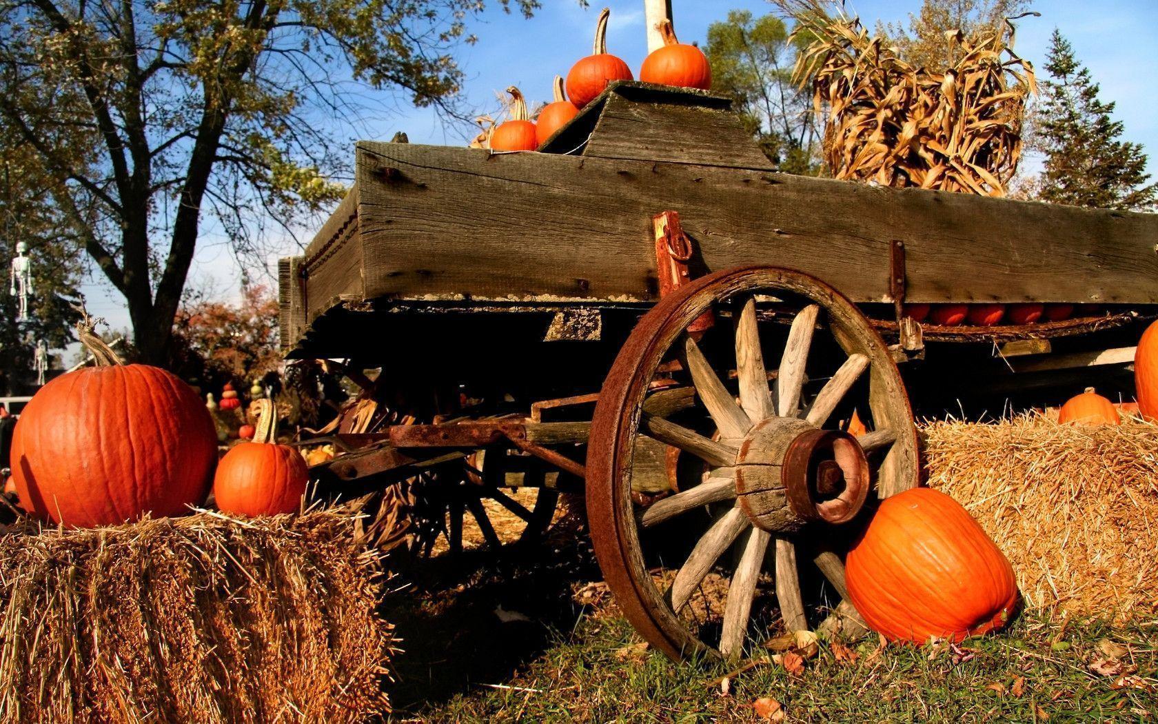 Download wallpaper Pumpkin, hay, cart, autumn free desktop