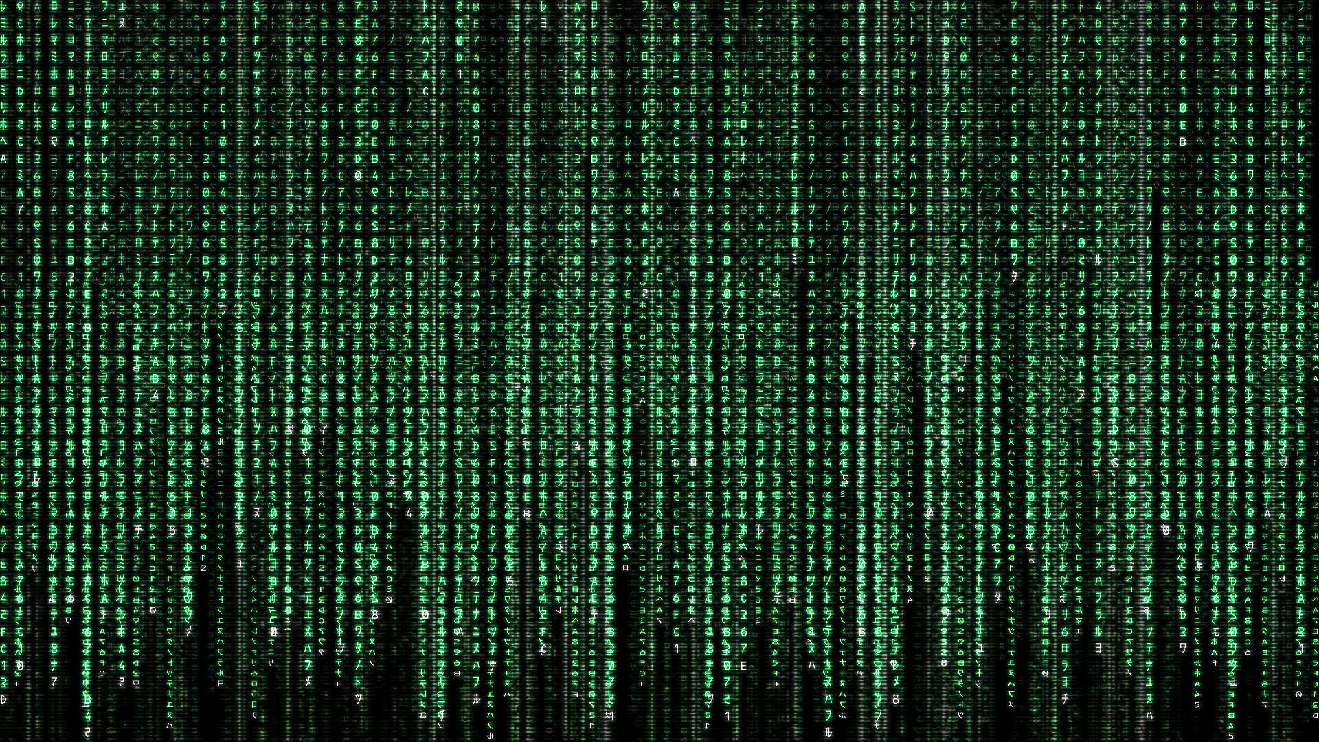 The Matrix Wallpaper. The Matrix Background