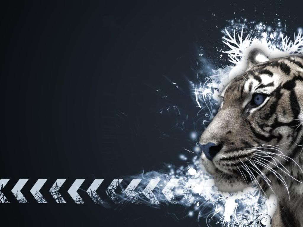 image For > Cool Tiger Background Tumblr
