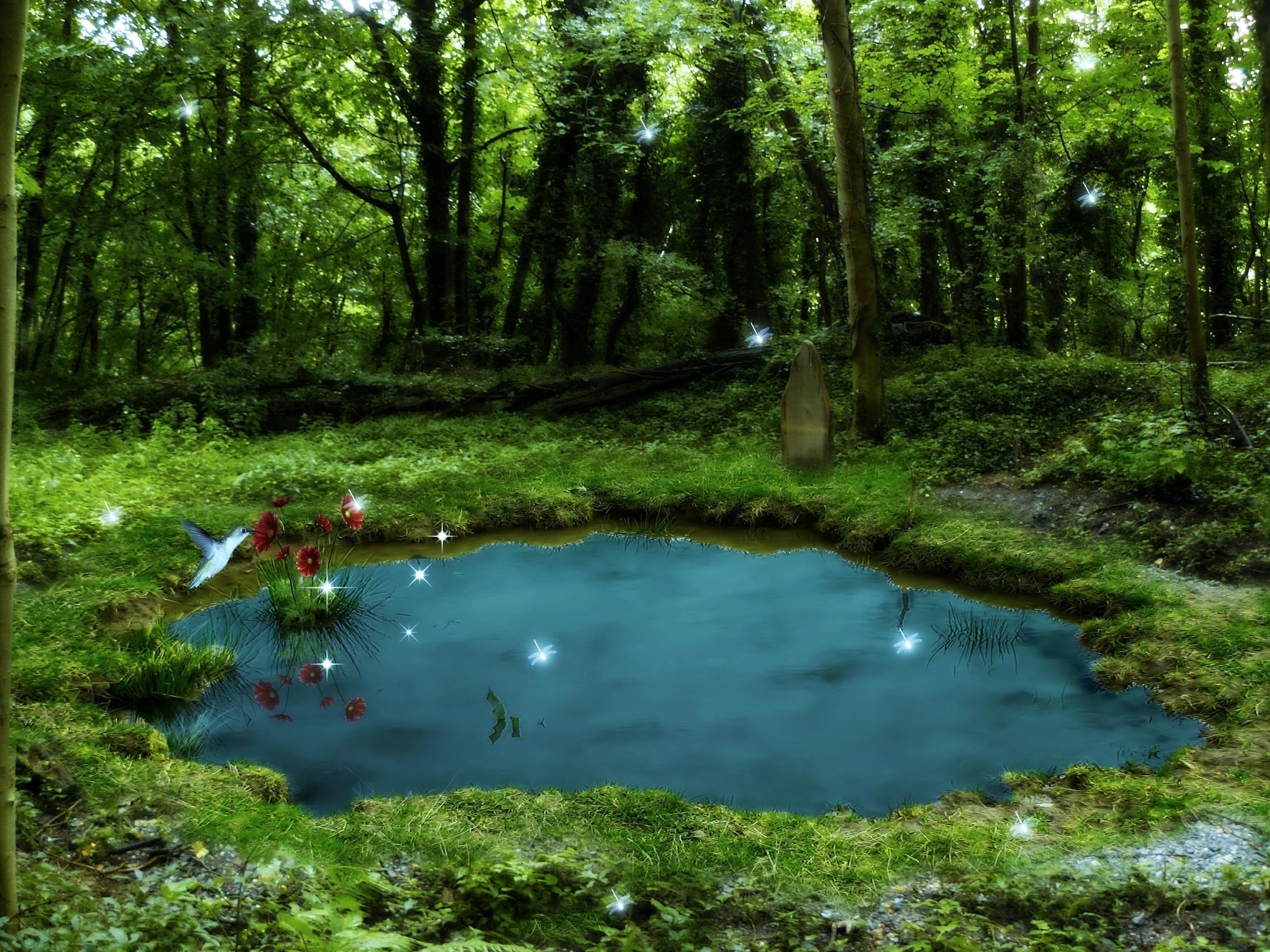 Pond Wallpapers - Wallpaper Cave