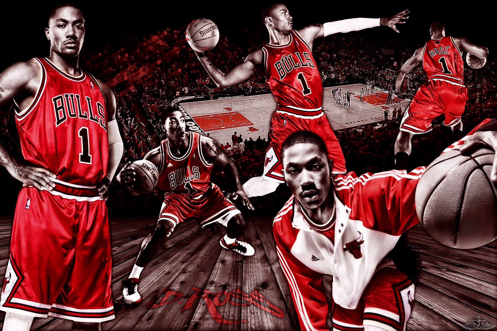 HQ Wallpaper Derrick Rose of Chicago Bulls 1920x