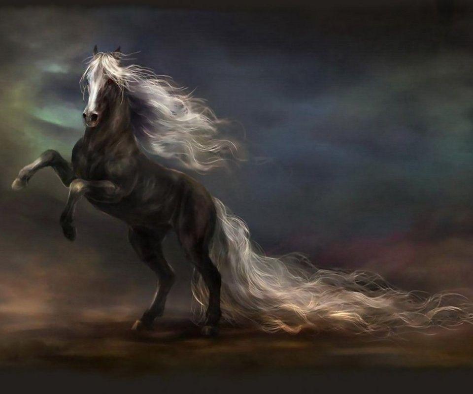 Dark Horse animals wallpaper for Apple iPhone 4S 16GB