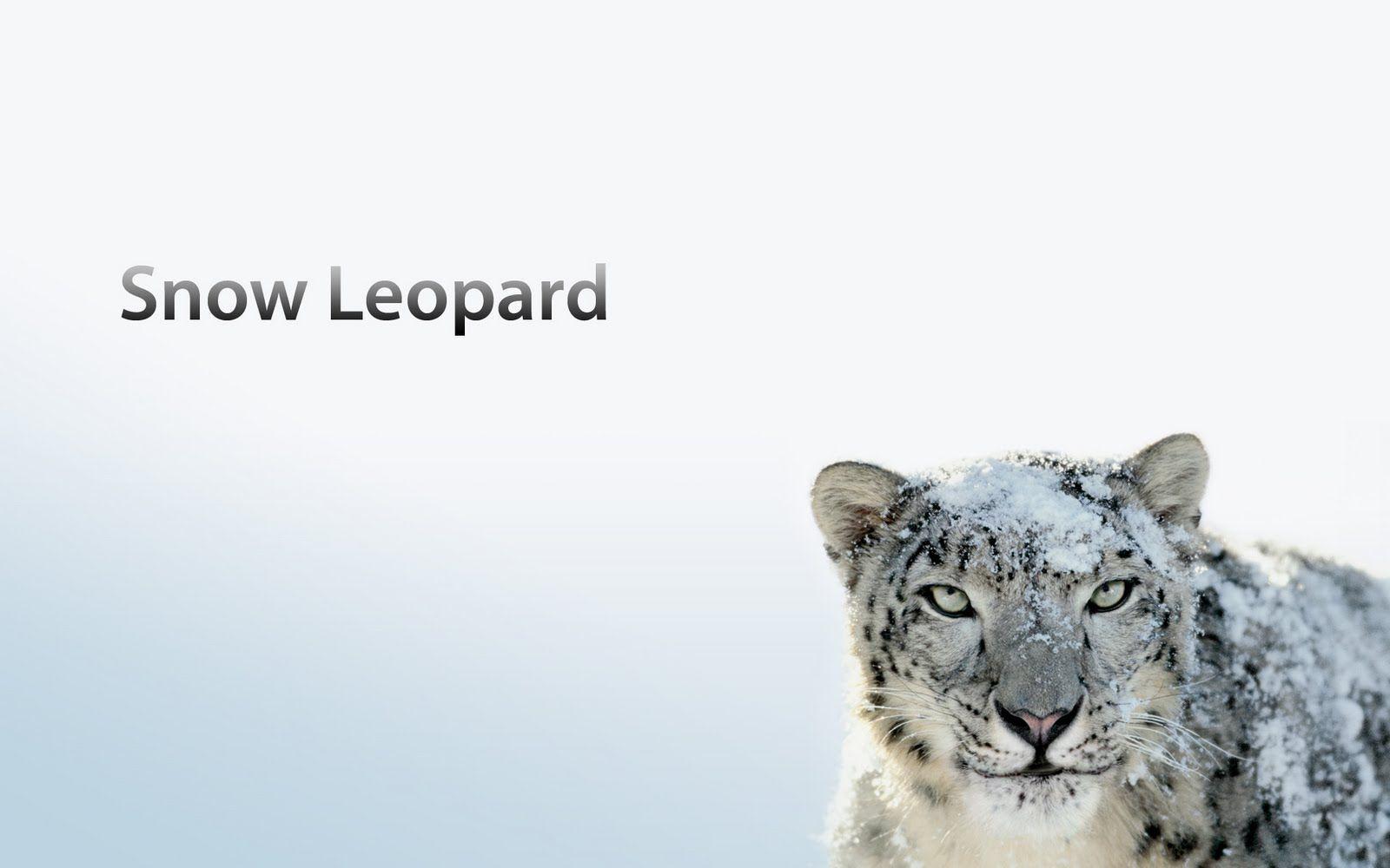 Mac OS X Snow Leopard Desktop Wallpaper