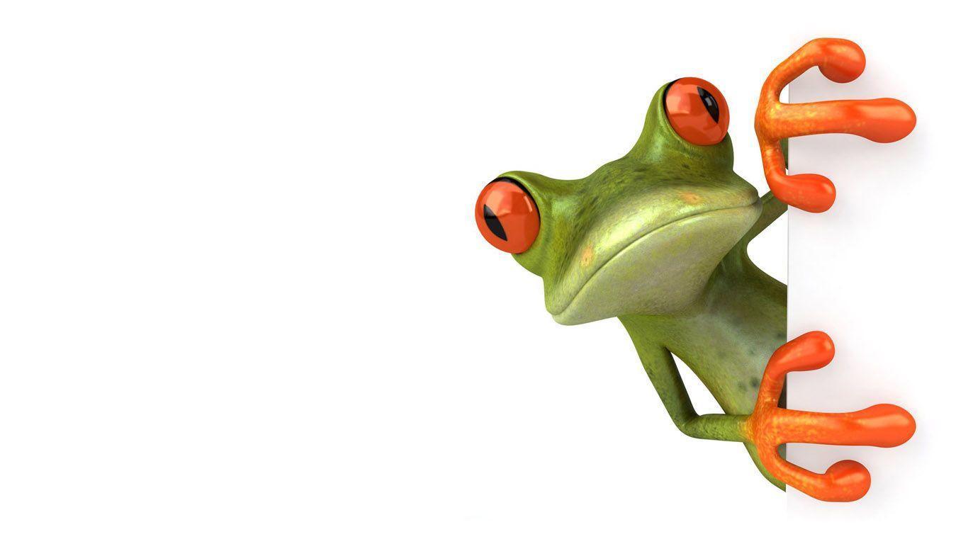 Funny Cartoon Frog