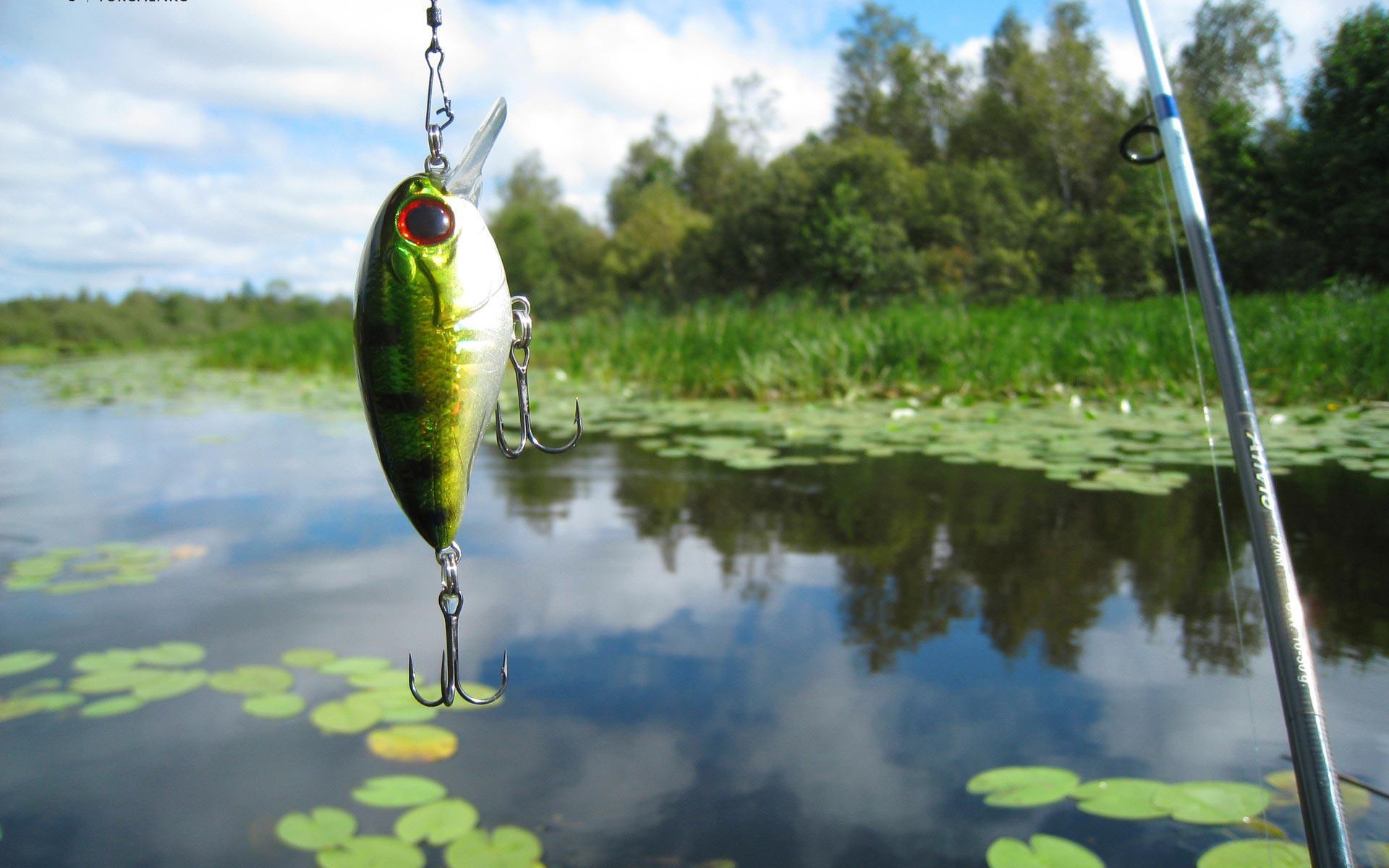 Wallpaper For > Fishing Lure Wallpaper