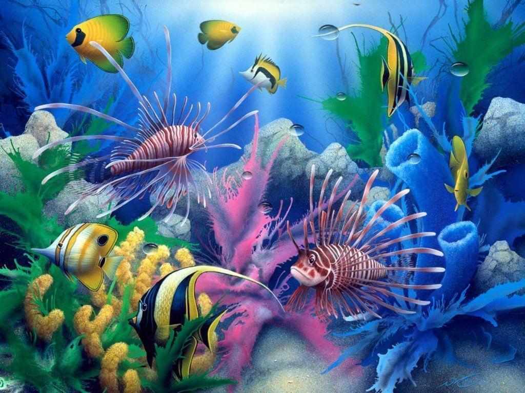 Colorful Under Ocean Wallpaper HD for Free Desktop Mobile