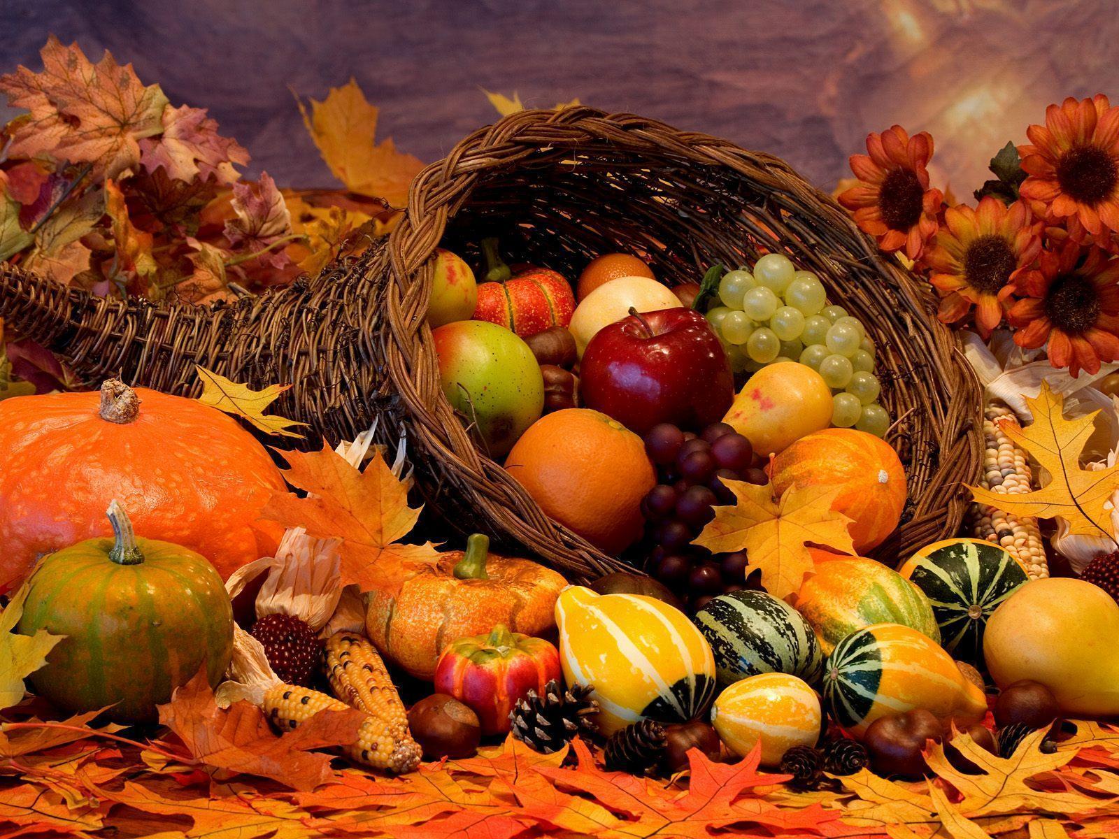 Autumn gifts free desktop background wallpaper image