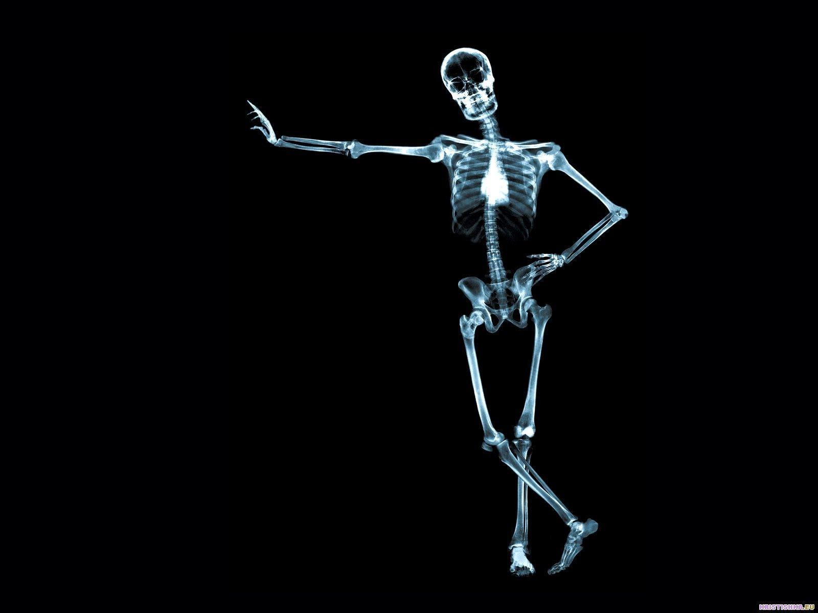 Wallpaper For > Skeleton Anatomy Wallpaper