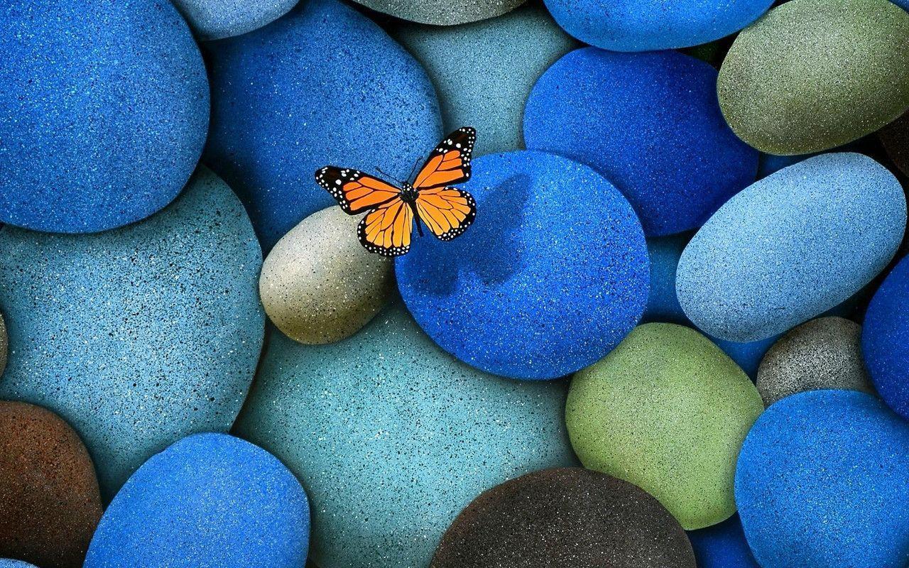 Butterfly On Stones in Abstract