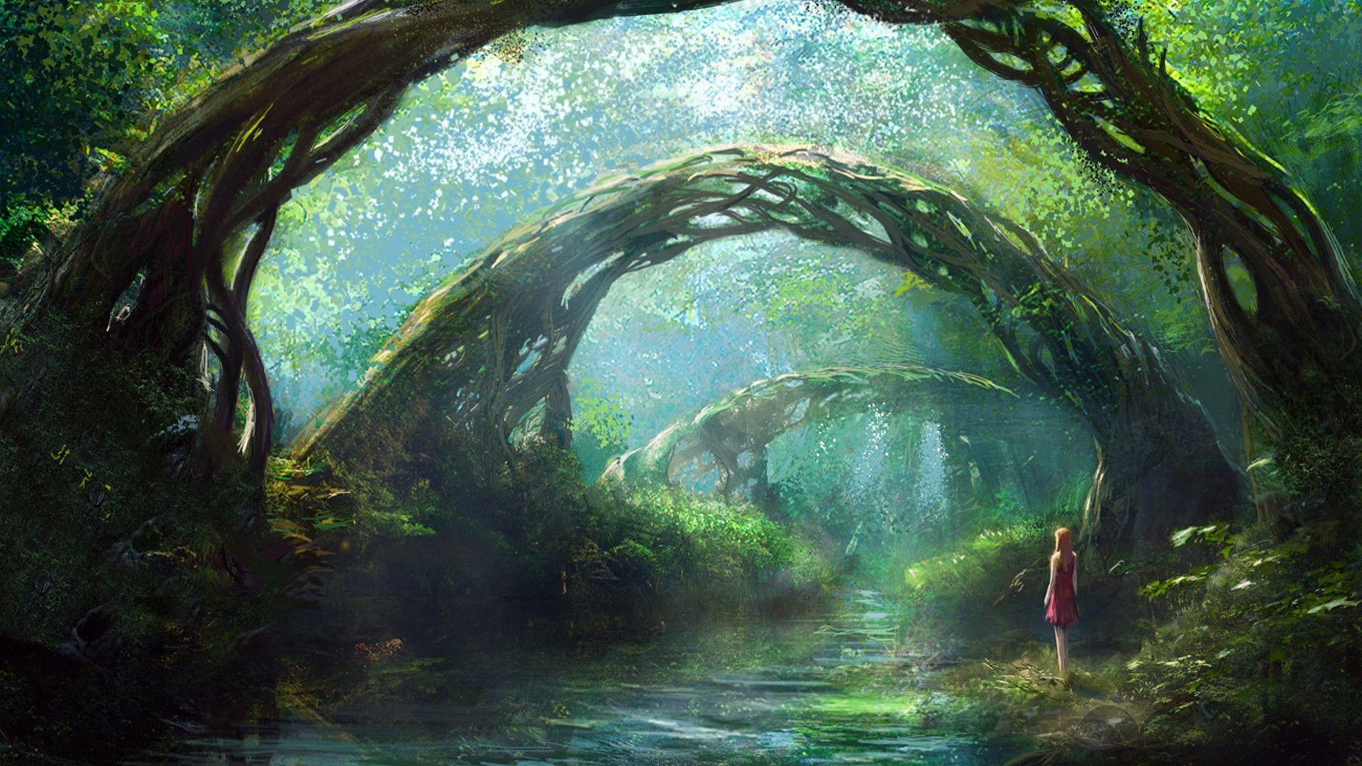 Fantasy Forest Wallpaper Wide or HD