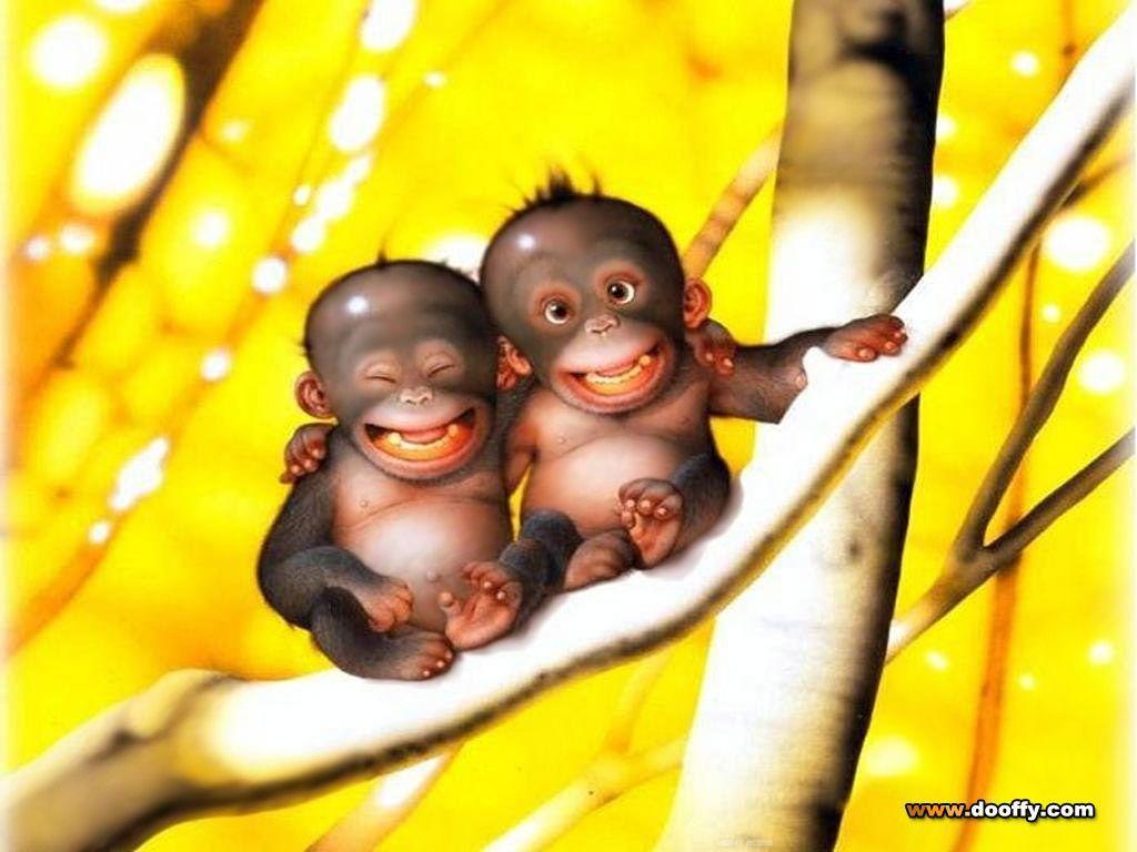 Animals For > Cute Monkey Wallpaper