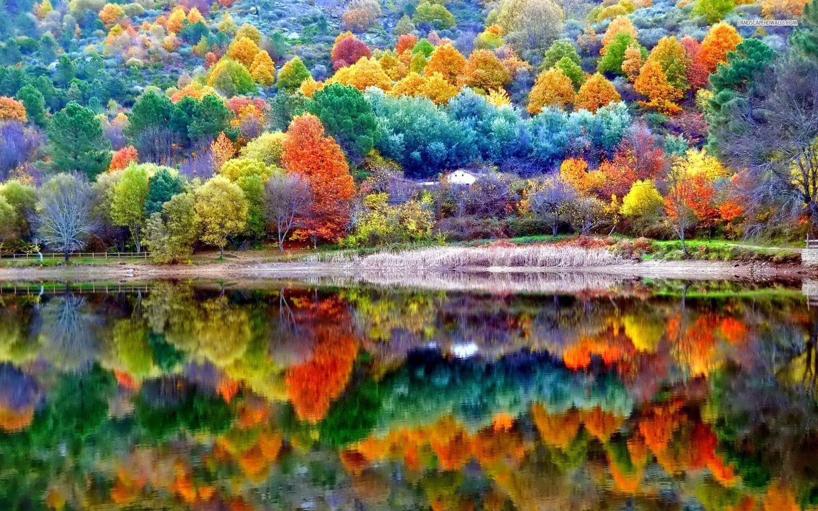 Beautiful autumn scenery wallpaper #